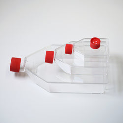 T175 Cell Culture Flasks with Vented Cap TC Treated Sterile Biofargo