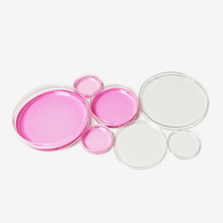 100 mm Cell Culture Dishes - TC Treated - Sterile - Biofargo -