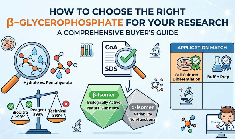 How to Choose the Right β-Glycerophosphate for Your Research: A Comprehensive Buyer's Guide