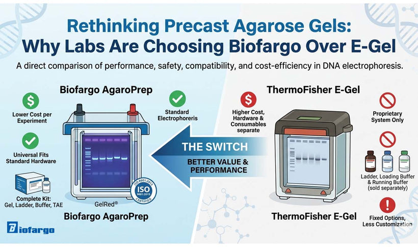Rethinking Precast Agarose Gels: Why Labs Are Choosing Biofargo Over E-Gel