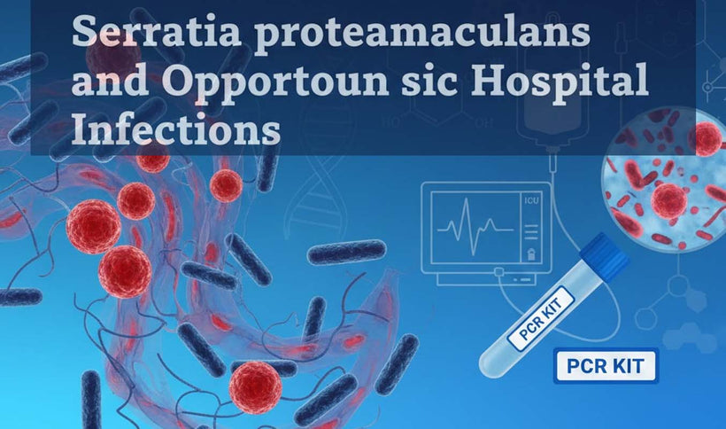 Serratia proteamaculans and Hospital Opportunistic Infection