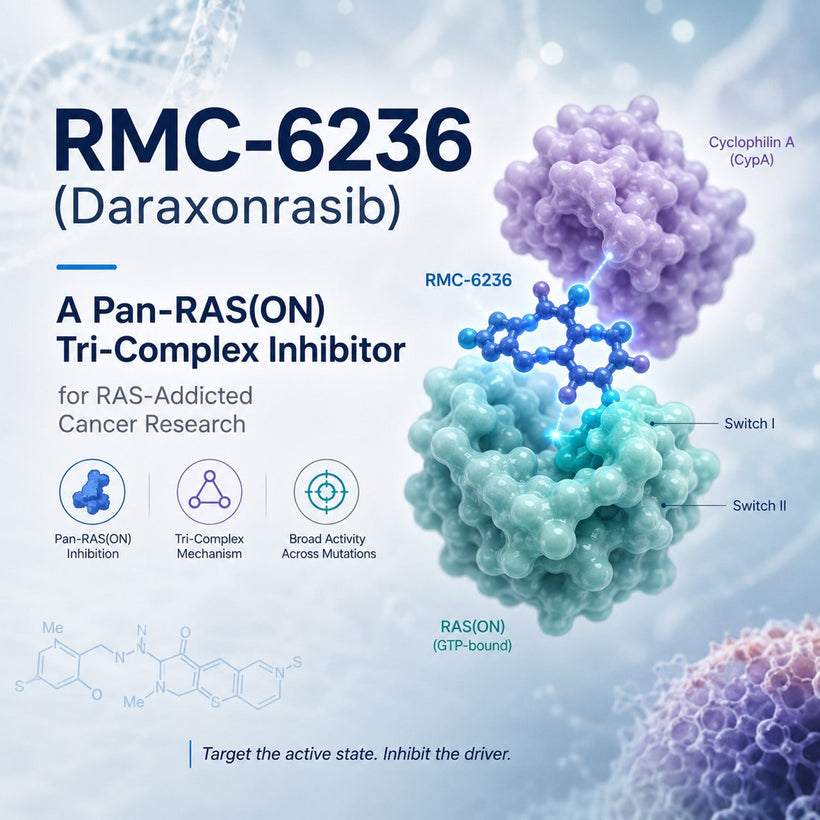 RMC-6236 Daraxonrasib Pan-RAS(ON) inhibitor for KRAS-driven cancer research featuring tri-complex molecular glue mechanism with Cyclophilin A and active RAS