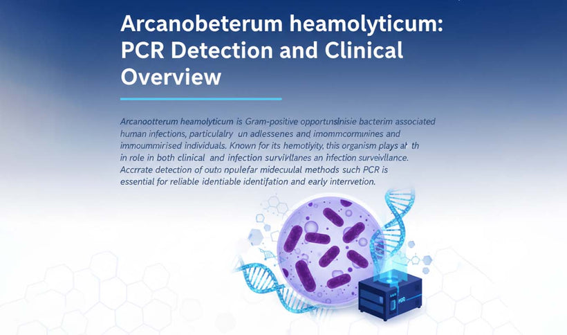 Arcanobacterium haemolyticum PCR Detection Guide