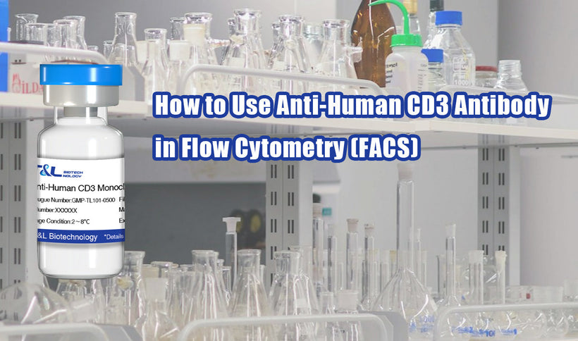 How to Use Anti-Human CD3 Antibody in Flow Cytometry (FACS)