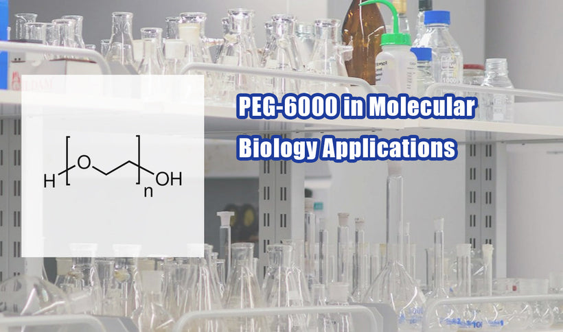 PEG-6000 in Molecular Biology Applications
