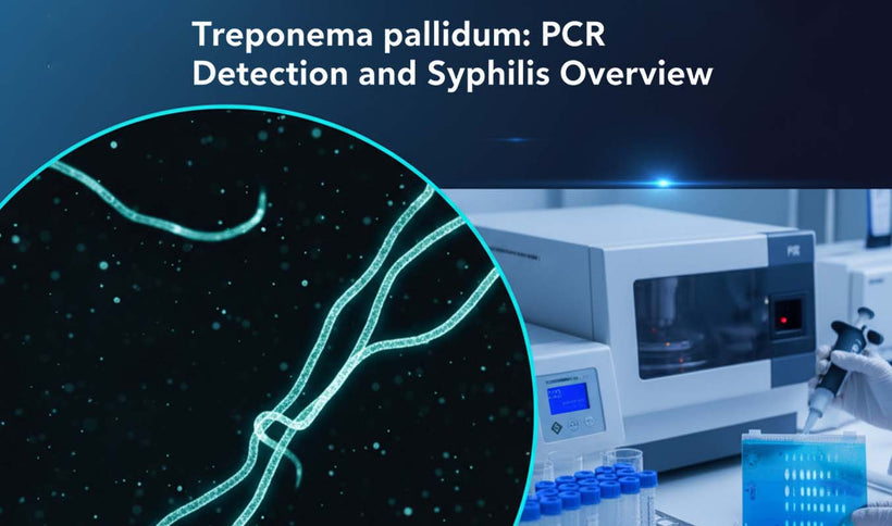 Treponema pallidum PCR Detection Guide