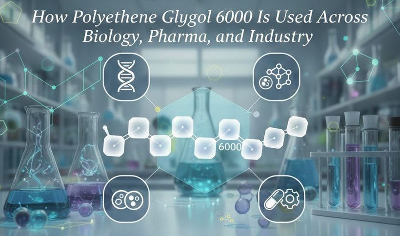 PEG-6000 Applications: A Complete Overview