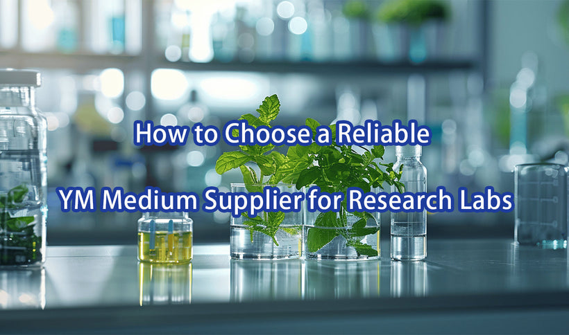 How to Choose a Reliable YM Medium Supplier for Research Labs