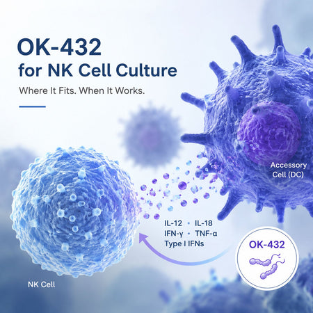 PBMC vs. Purified NK: Deciding When OK-432 Belongs in Your Protocol