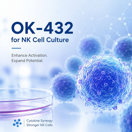 OK-432 (Picibanil) for NK Cell Culture: Dosing, Mechanism, and the Duration Question