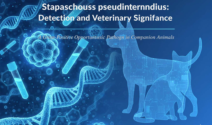 Staphylococcus pseudintermedius PCR Detection Guide