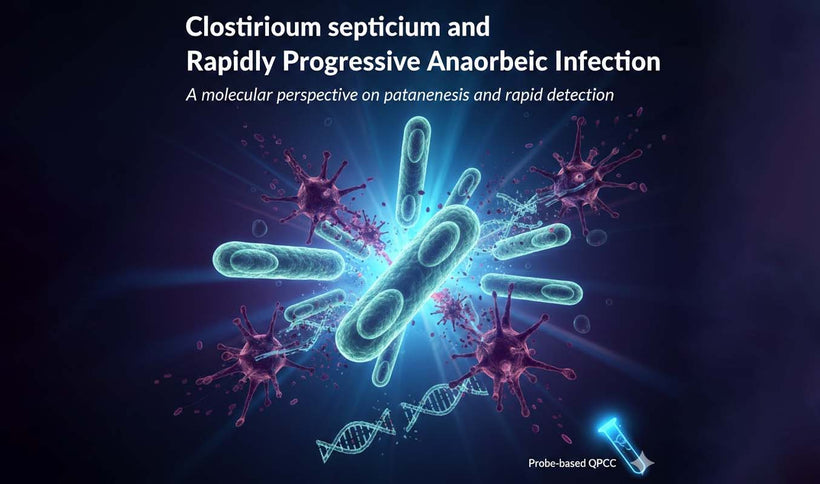 Clostridium septicum and Spontaneous Gas Gangrene