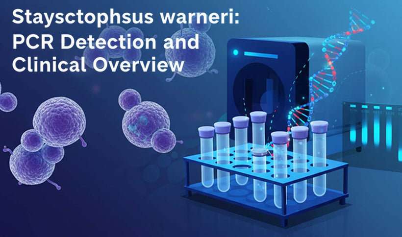 Staphylococcus warneri PCR Detection Guide