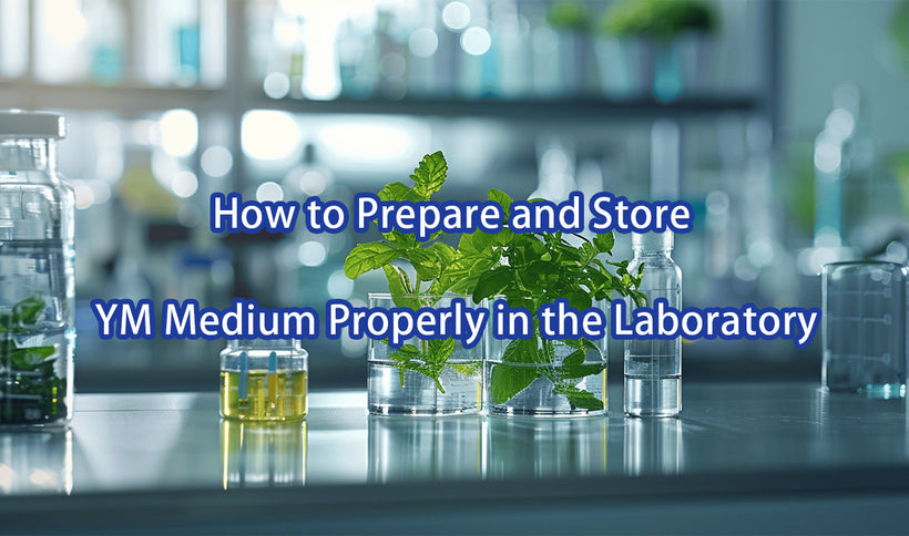 How to Prepare and Store YM Medium Properly in the Laboratory