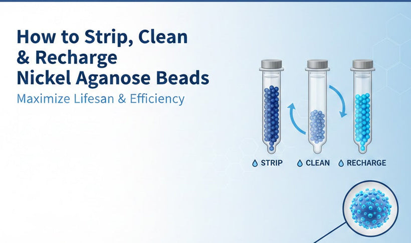 How to Strip, Clean, and Recharge Nickel Agarose Beads