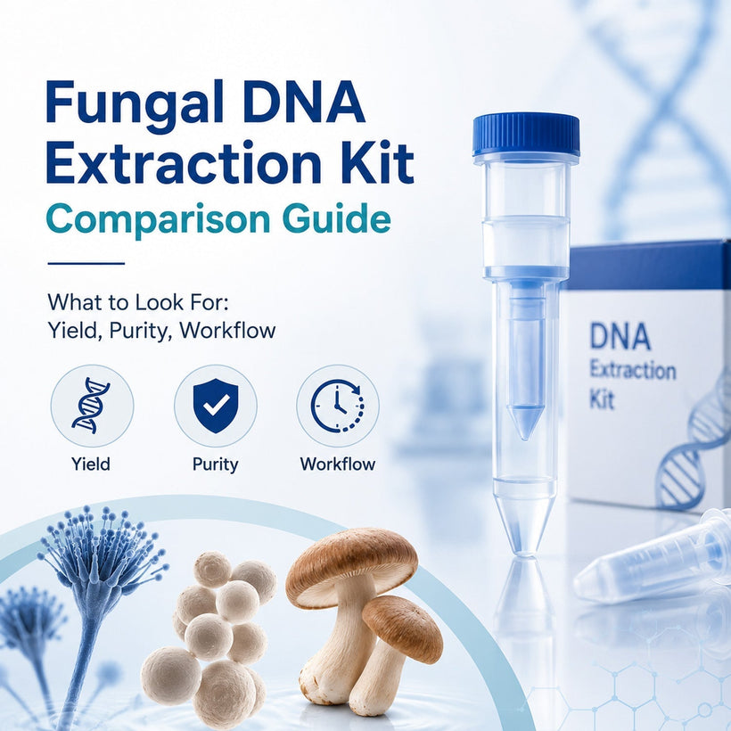 Fungal DNA extraction kit comparison guide for evaluating purity, yield and workflow efficiency