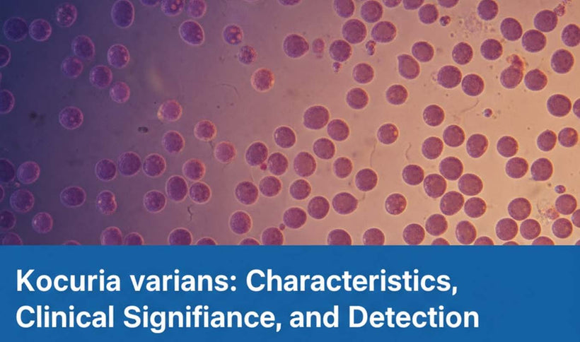 Kocuria varians: Characteristics and PCR Detection