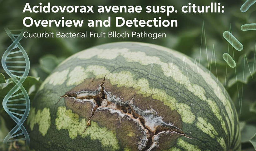 Acidovorax avenae subsp. citrulli Detection