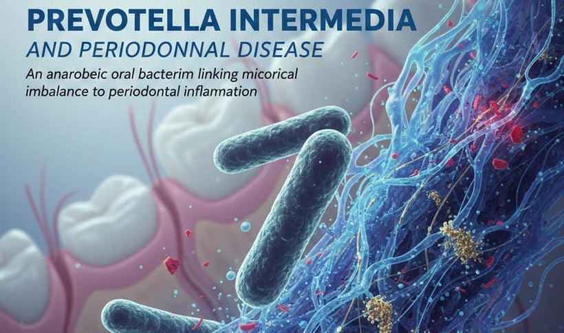 Prevotella intermedia and Periodontal Disease
