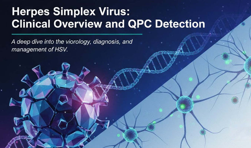 Herpes Simplex Virus: HSV-1 and HSV-2 qPCR Detection