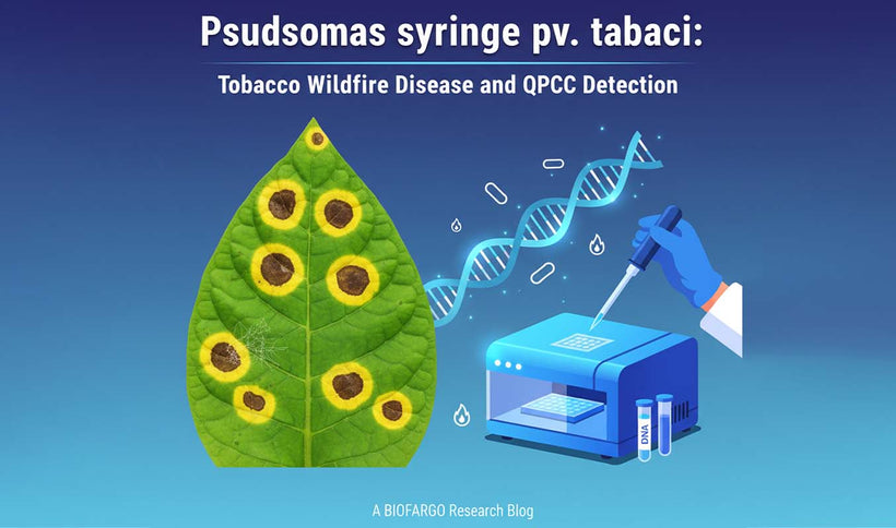 Pseudomonas syringae pv. tabaci Detection and Tobacco Wildfire