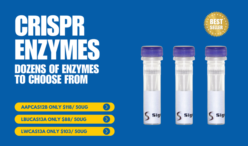 CRISPR Enzymes: The Key to Advanced Genetic Research