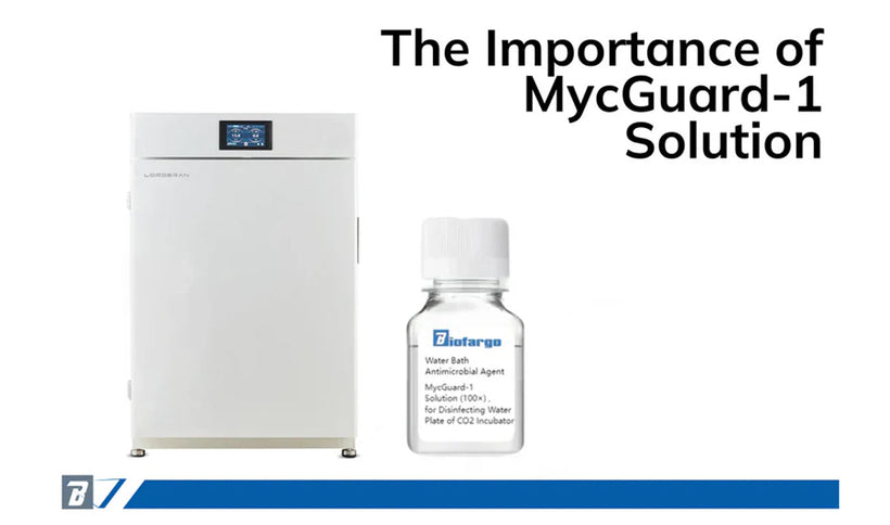 Cleaning Your CO2 IncubatorThe Importance of MycGuard-1 Solution
