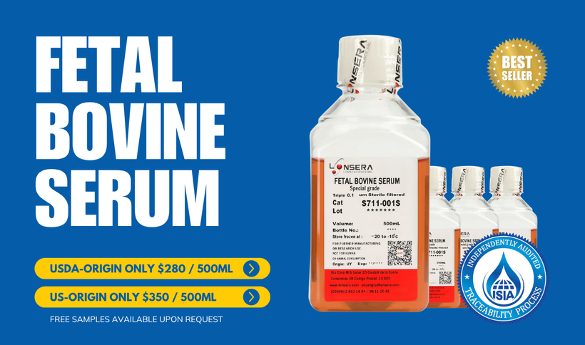 Fetal Bovine Serum: A Critical Component for Growing Healthy Cells