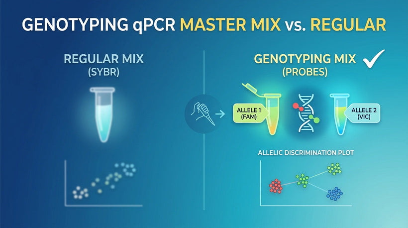 Why You Need a Genotyping qPCR Master Mix (And Not a Regular One)