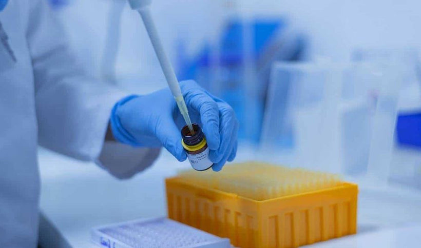 Guide on How to Clean Your Pipettes