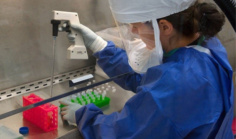 How to Calibrate a Pipette