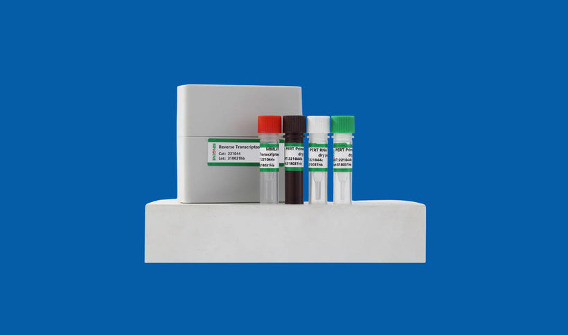 One-Step PERT Assay: Revolutionizing Reverse Transcriptase Detection