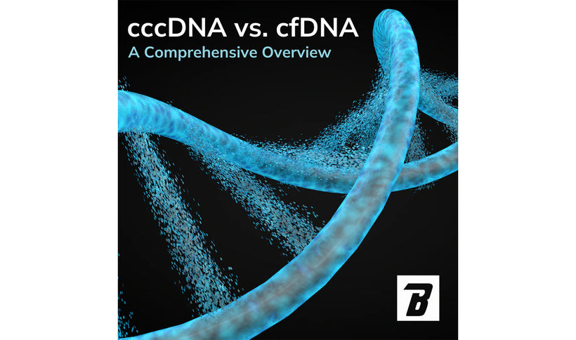 Understanding the Differences Between cccDNA and cfDNA: A Comprehensive Overview