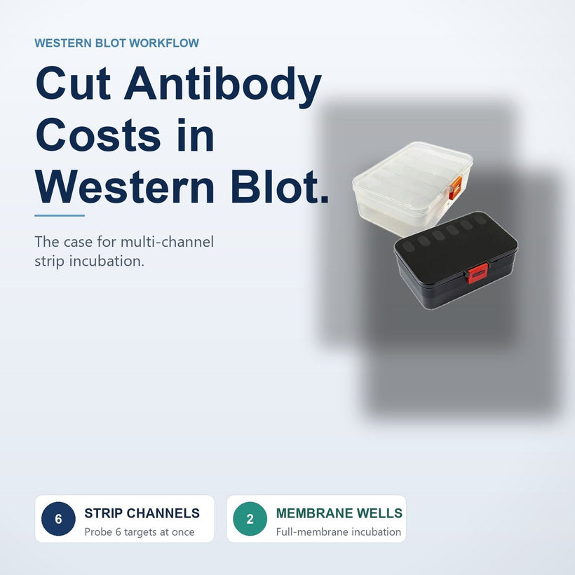 Black opaque and clear multi-channel Western blot strip incubation boxes stacked together.