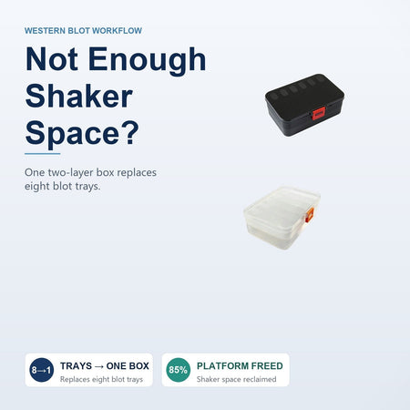 Not Enough Shaker Space? One Two-Layer Box Replaces Eight Blot Trays