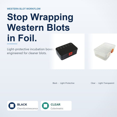 Stop Wrapping Your Western Blots in Foil: A Better Way to Protect Fluorescent Antibodies