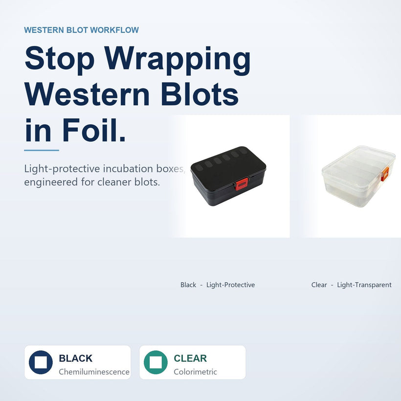 Black opaque and clear light-protective Western blot incubation boxes side by side.