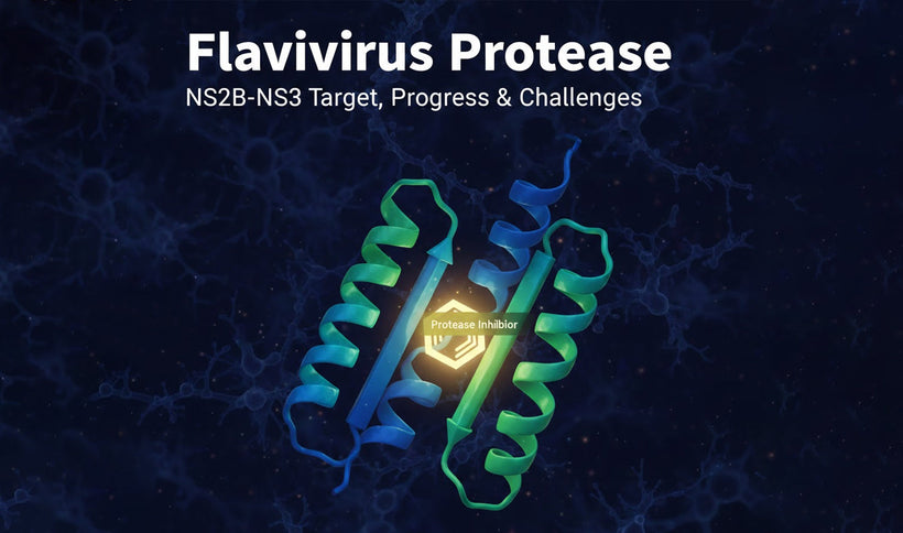 Flavivirus Protease: NS2B-NS3 Target, Progress & Challenges