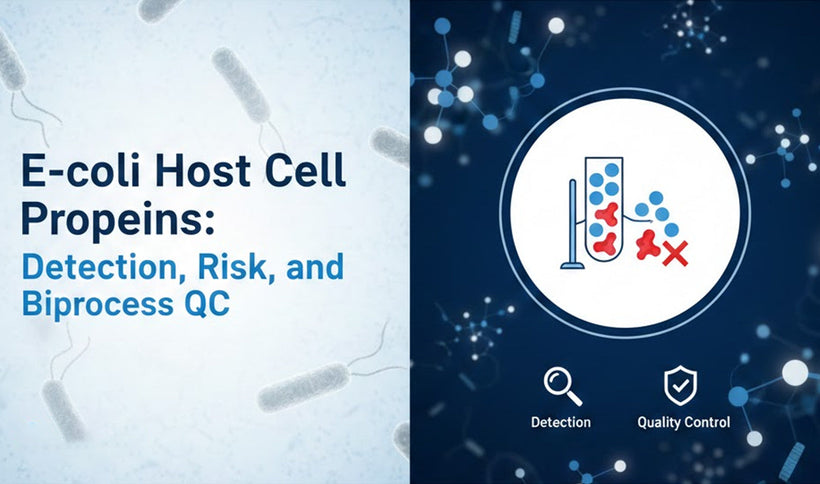 E. coli Host Cell Proteins: Detection, Risk, and Bioprocess QC