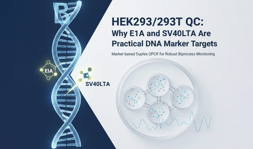 HEK293/293T QC: Using E1A and SV40LTA as DNA Markers