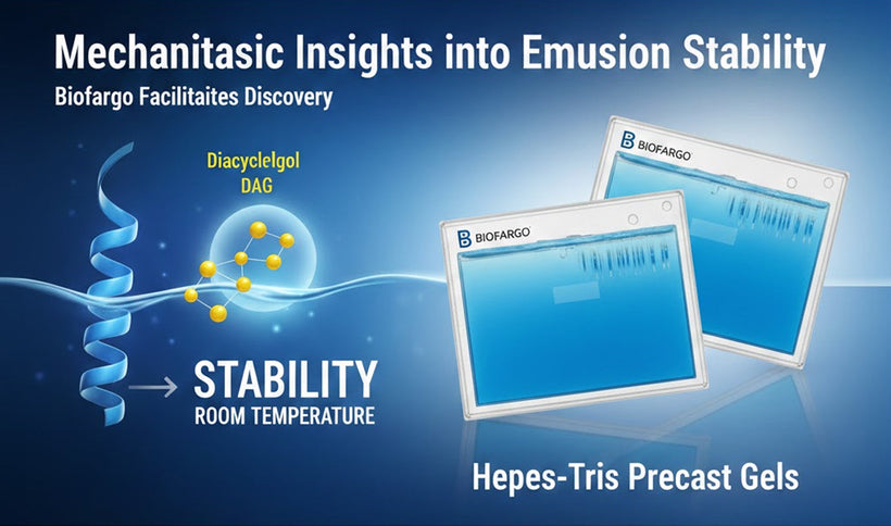 Biofargo Precast Agarose Gels Facilitate In-Depth Exploration of Diacylglycerol Functionality