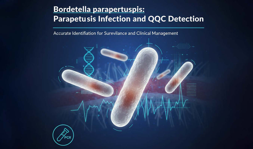 Bordetella parapertussis Detection and Parapertussis Guide