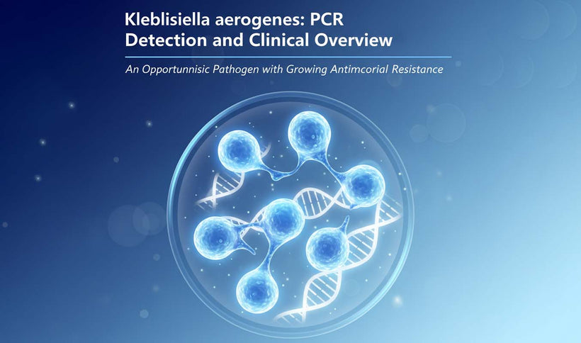 Klebsiella aerogenes PCR Detection Guide