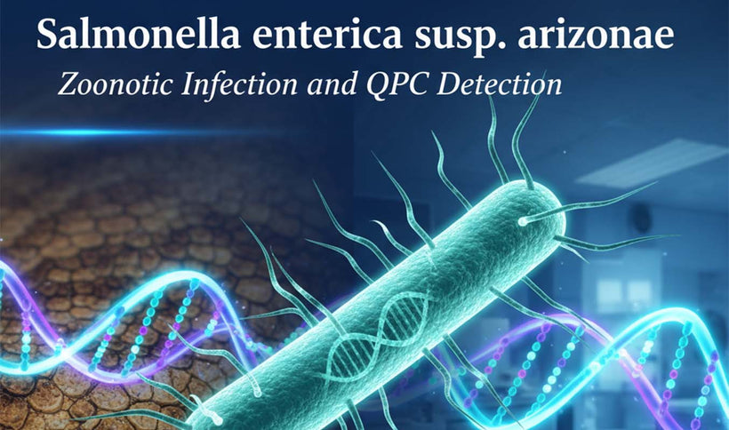 Salmonella enterica subsp. arizonae Detection and Infection Overview