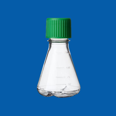 Erlenmeyer Flask