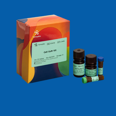 Apoptosis Detection Kits