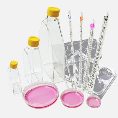 Cell Culture Series