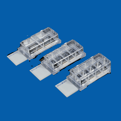 Cell Culture Slides