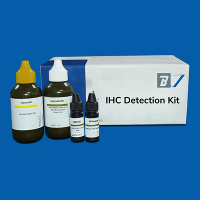 IHC Detection Kits