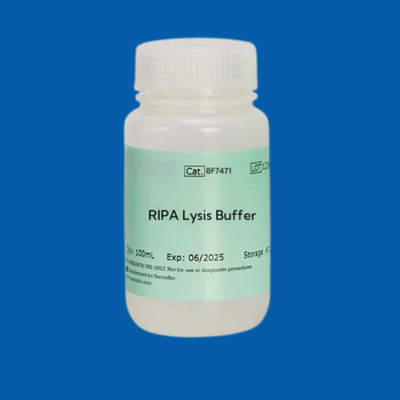 Lysis &amp; RIPA Buffers